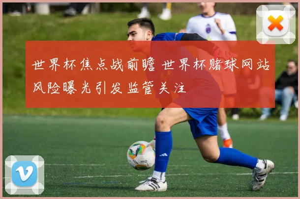 世界杯焦点战前瞻 世界杯赌球网站风险曝光引发监管关注